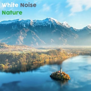 White Noise Nature 2018