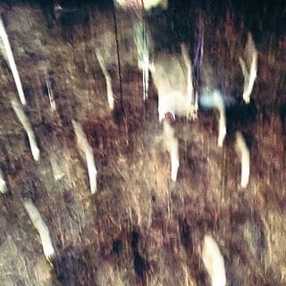 Witch Shadows