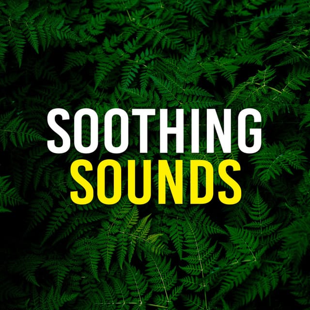 Soothing Sounds