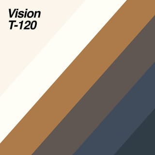 Vision