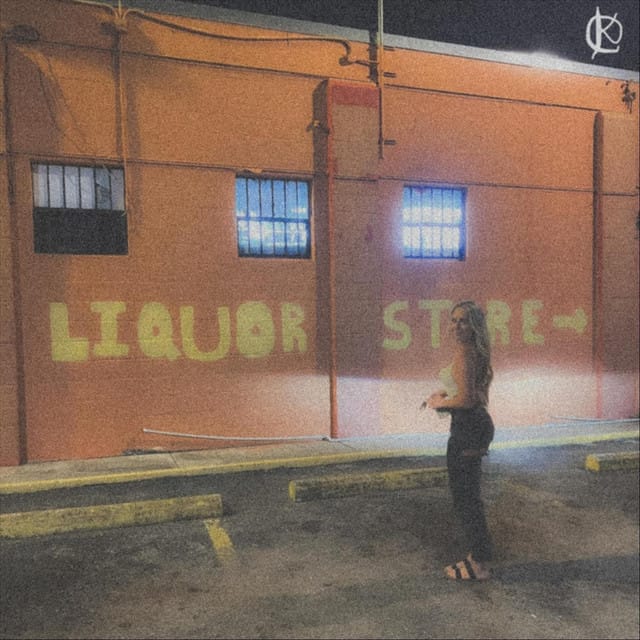 Silly Lil Love Song - Single