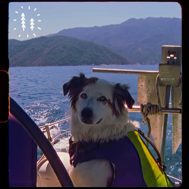 Mexico - Single