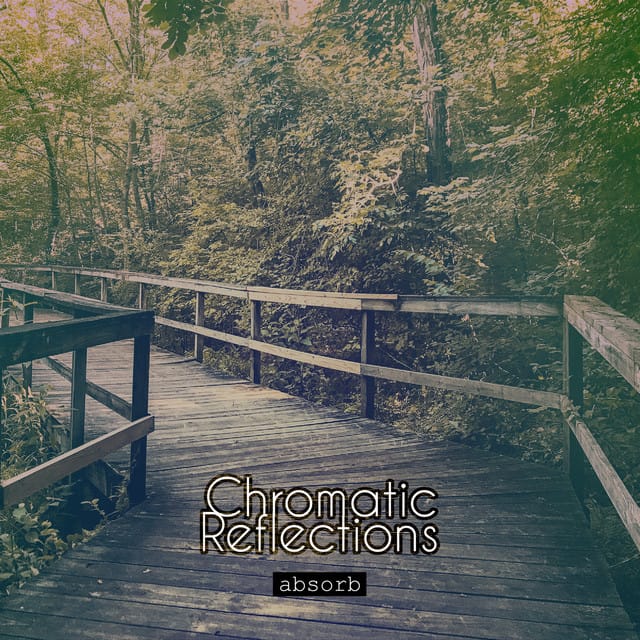 Absorb - Single