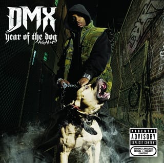 Year Of The Dog...Again (Explicit)