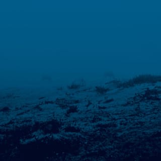is presence still presence in absence?
