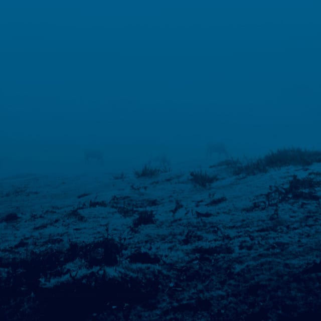 is presence still presence in absence?