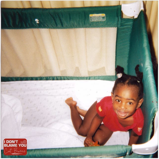 I Don't Blame You - Single