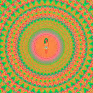 Trip