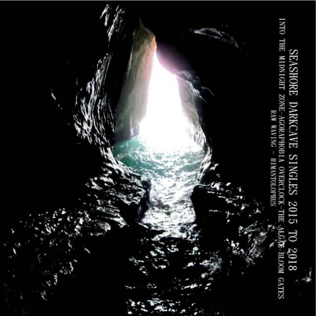Seashore Darkcave 2015 - 2018