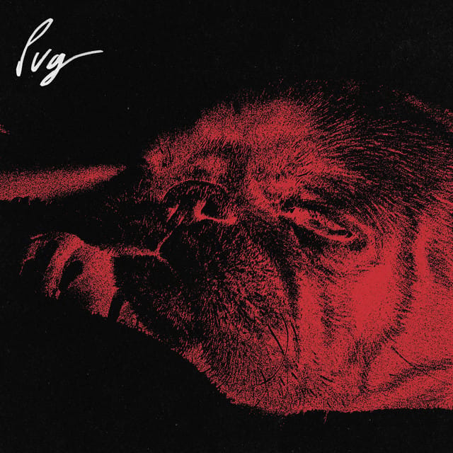 Pug - Single