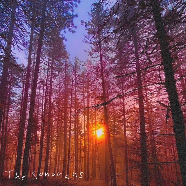 Flare - Single