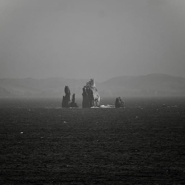Swimming To The Other Side - Single