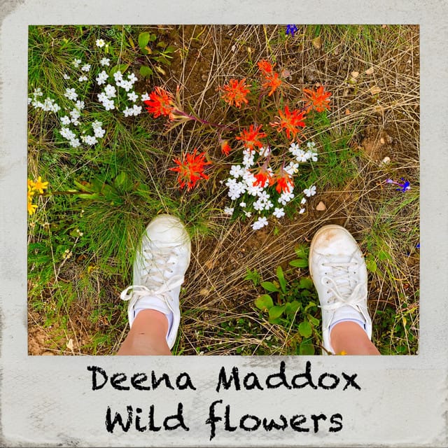 Wildflowers