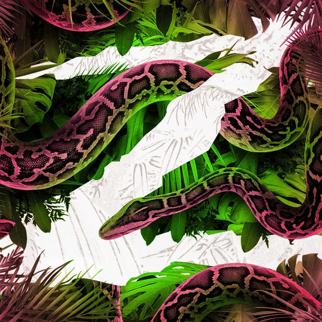 Party Right / Snake Charmer - Single