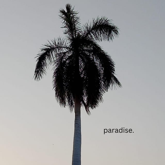 Paradise
