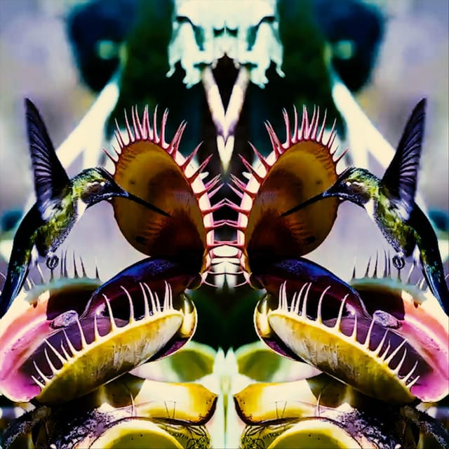 Ambrosia - EP