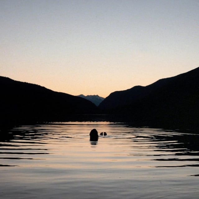 Gone (Away) - Single