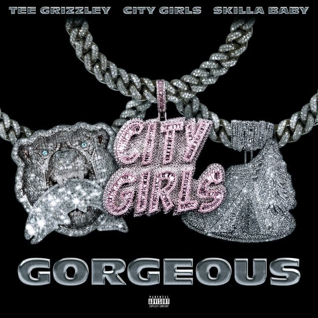 Gorgeous (remix)