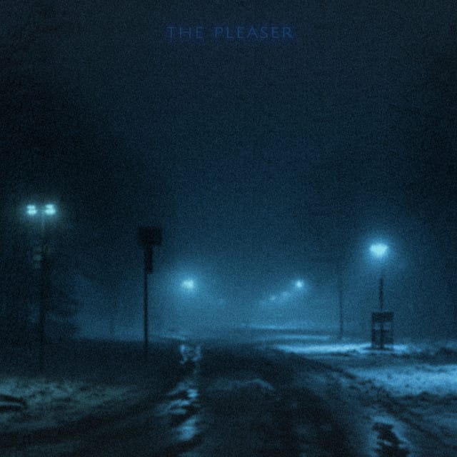 The Pleaser - Single