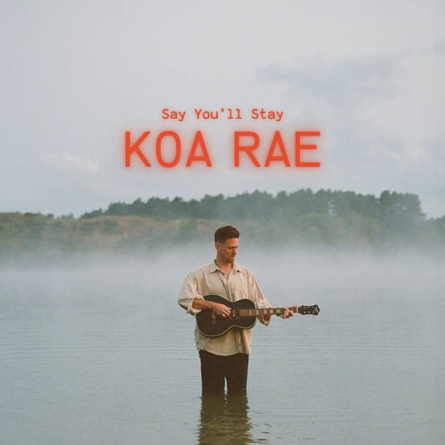 Say You'll Stay