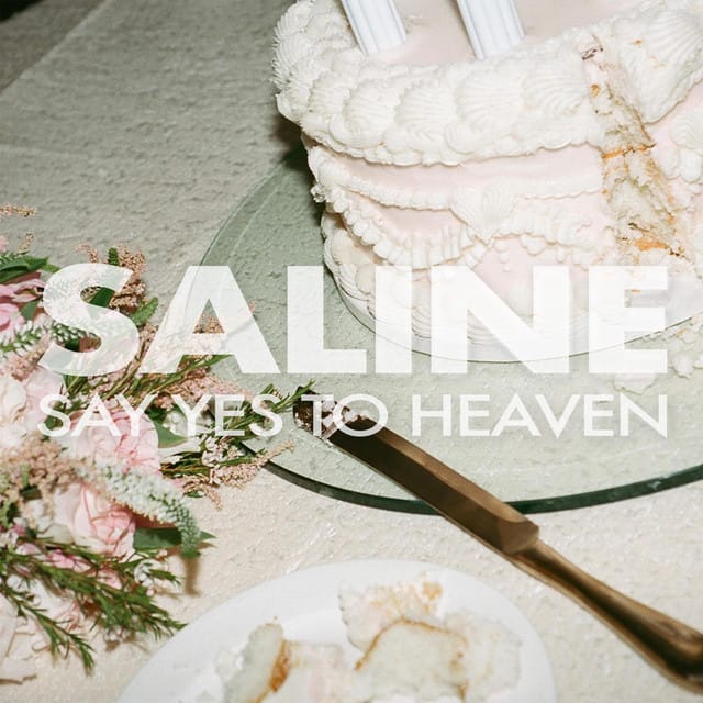 Say Yes to Heaven - Single