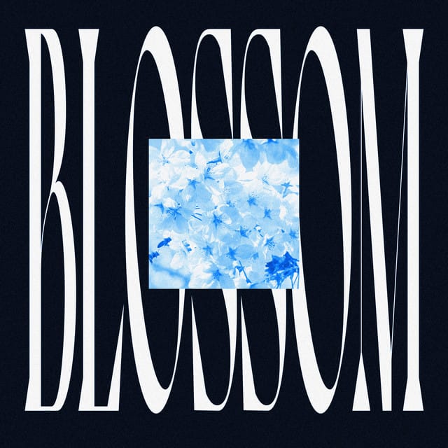Blossom