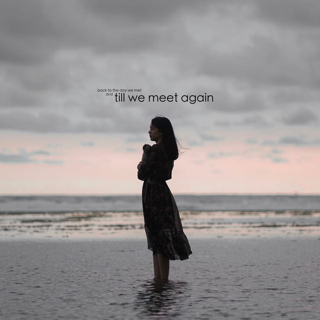 Till We Meet Again