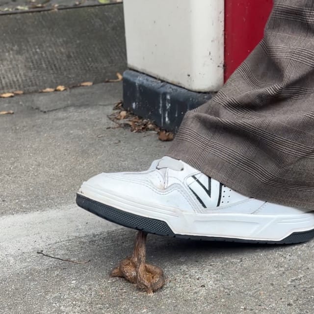 Scheiße am Schuh