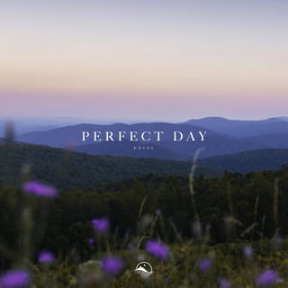 Perfect Day