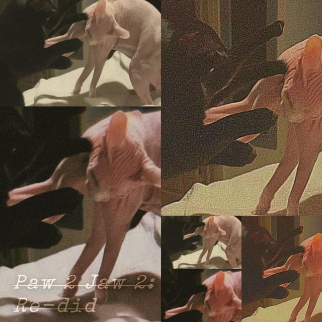 Paw 2 Jaw 2: Re-did