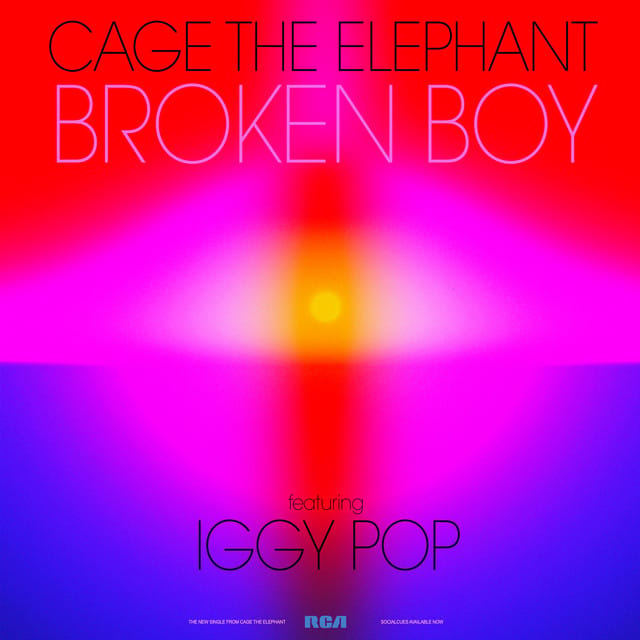 Broken Boy (feat. Iggy Pop)