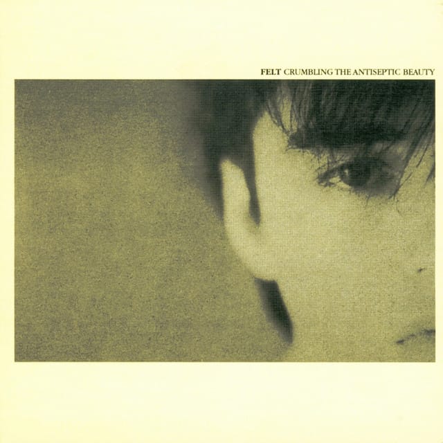 Crumbling the Antiseptic Beauty (Remastered Edition)