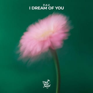 I Dream of You