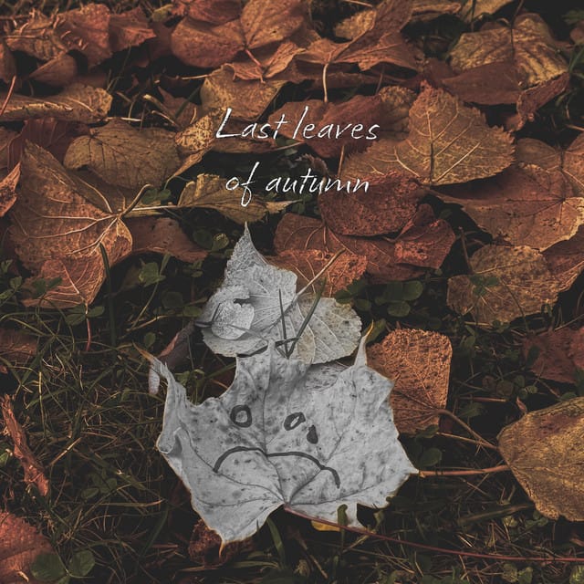 Last Leaves of Autumn