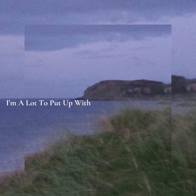 I'm a Lot To Put Up With - Single