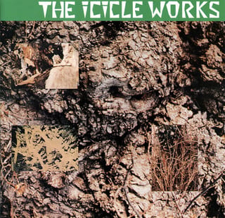The Icicle Works