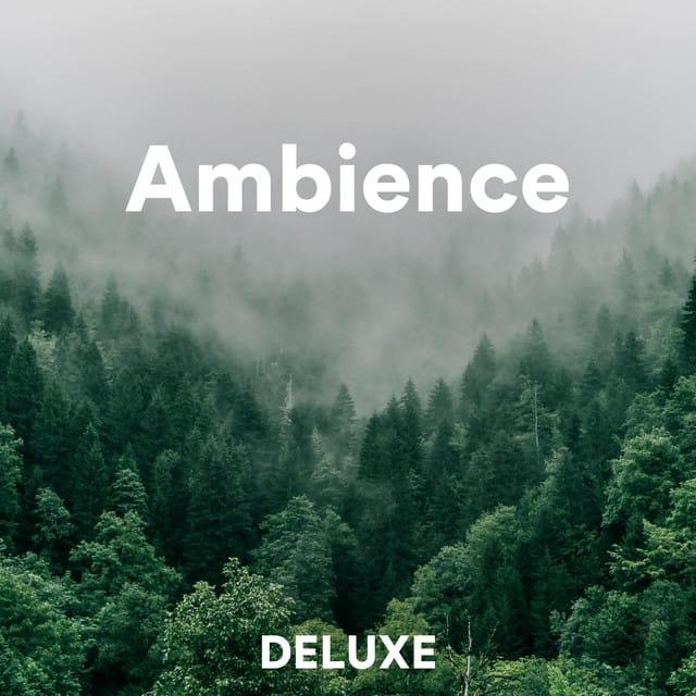 Ambience
