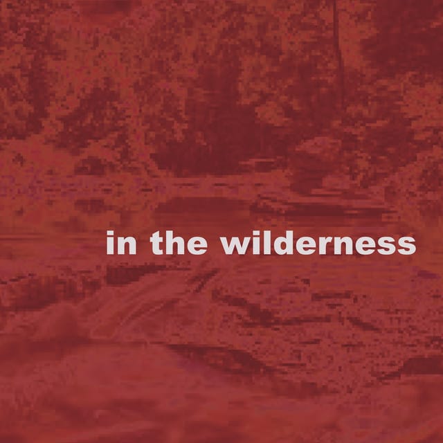 In The Wilderness