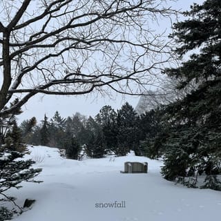 Snowfall