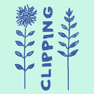 Clipping