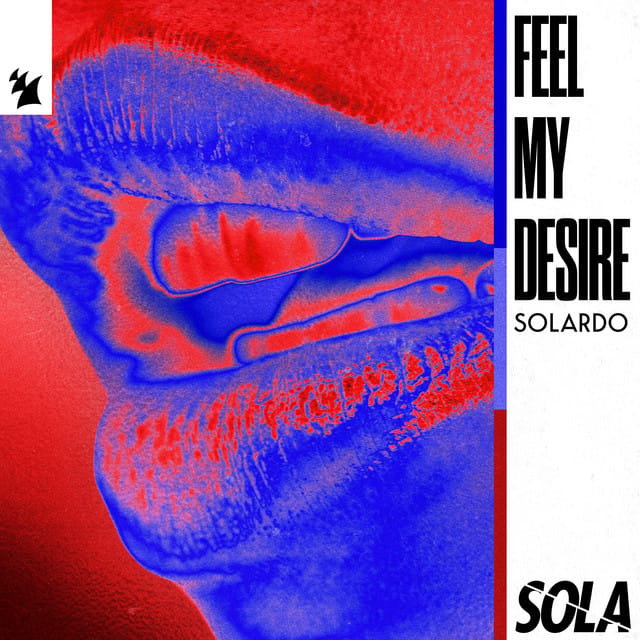 Feel My Desire - Single