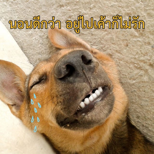 Happy for You