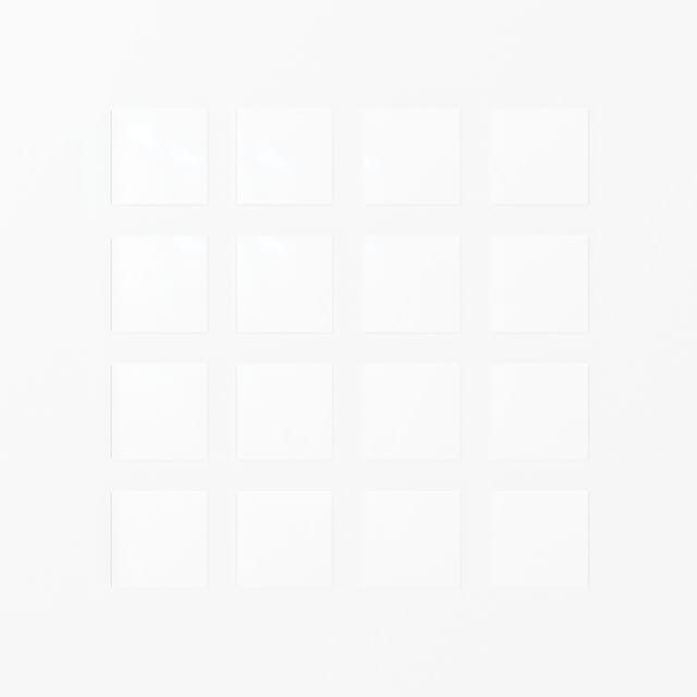 The Witness