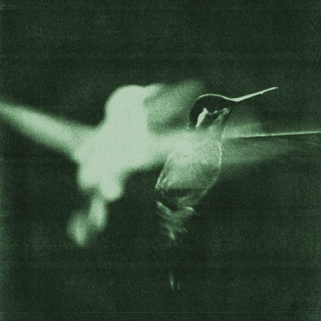 Your Twenties - Single