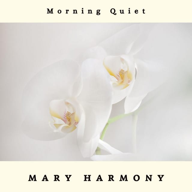 Morning Quiet