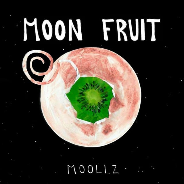 Moon Fruit