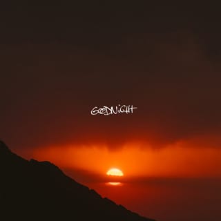 Goodnight - Single