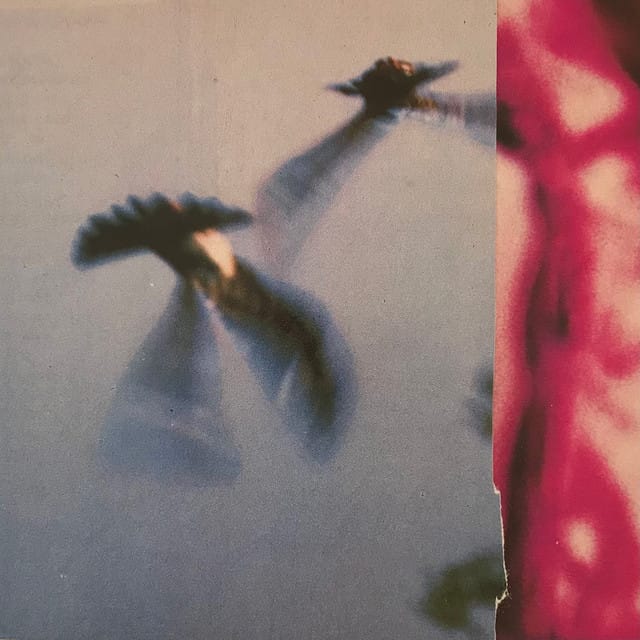 Television Snow - Single