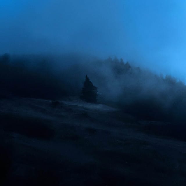 reverie