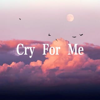 Cry For Me (日本第一深情)